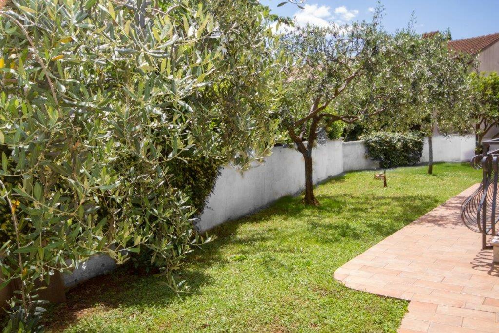 Villa Sveta Eufemija - Bed And Breakfast 罗维尼 外观 照片